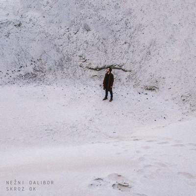 Нежни Далибор